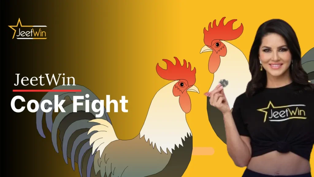 JeetWin Cock Fight